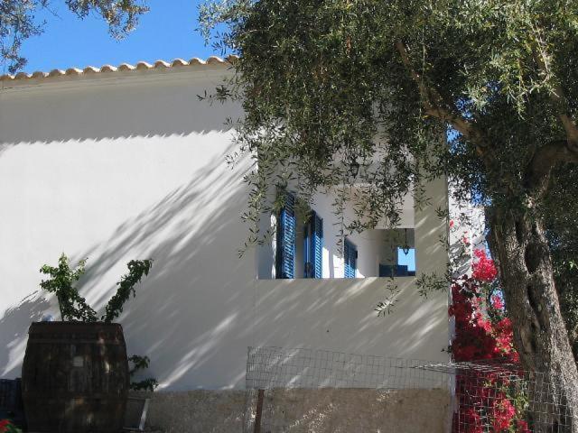 Villa Fiorita Paleokasztríca Kültér fotó